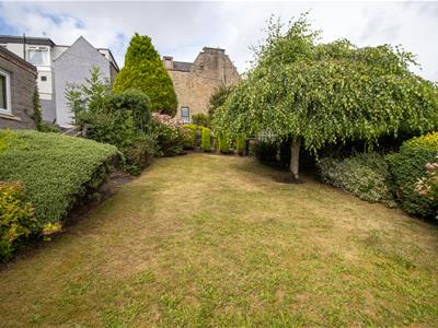 Picture 23
